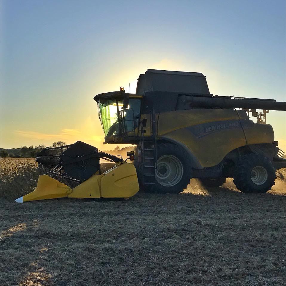 A combine silhouetted against the setting sun