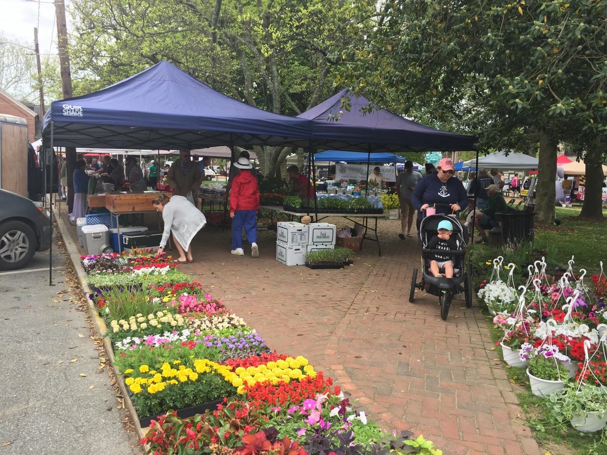 Navy canopies and flower flats along the Chestertown farmers' market