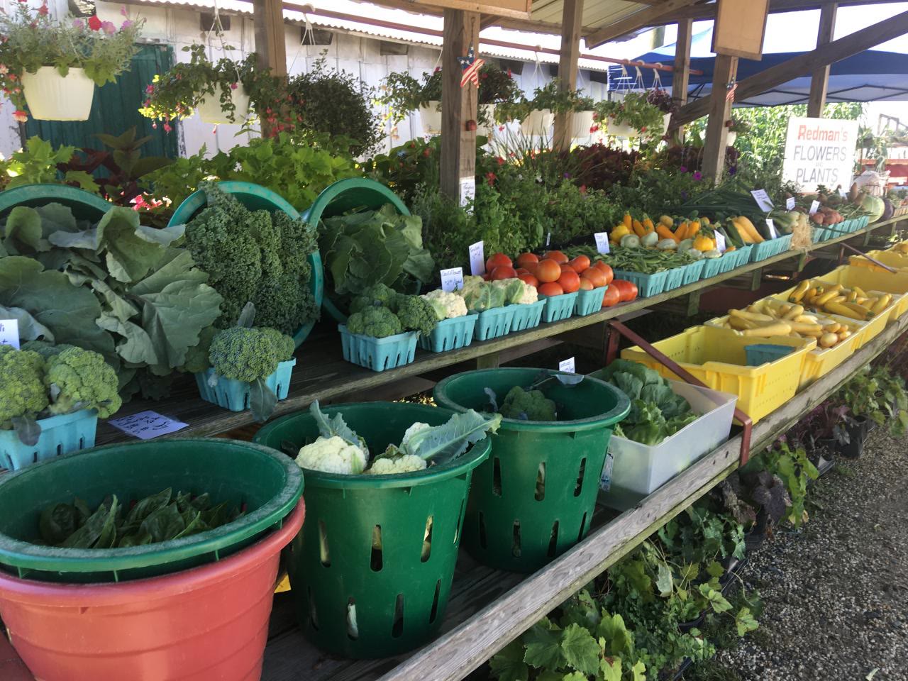 The farm stand shelves stacked with green baskets of vegetables and fruit